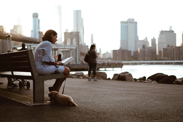 A lady reading a book on a bench with her dog in New York and pondering how her life in this familiar place was more different than she recalled.  